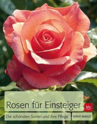 Cover for Markley · Rosen für Einsteiger (Book)