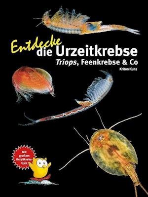 Cover for Kriton Kunz · Entdecke die Urzeitkrebse (Book) (2022)