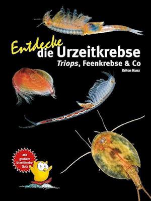 Cover for Kriton Kunz · Entdecke die Urzeitkrebse (Bok) (2022)