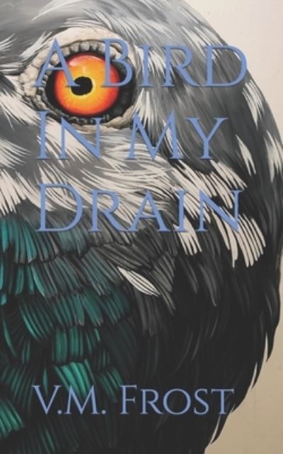 Cover for V M Frost · A Bird In My Drain (Paperback Book) (2021)