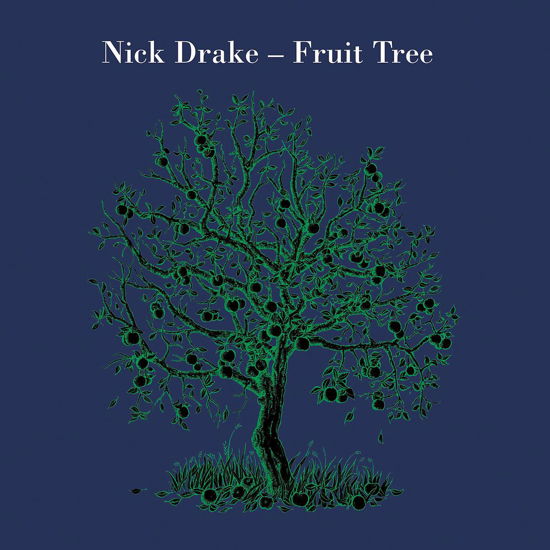 Cover for Nick Drake · Fruit Tree-vinyl-box (LP) [Limited edition] (2007)