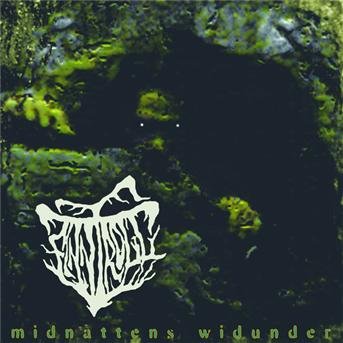 Midnattens Widunder - Finntroll - Música - SPINEFARM - 0602517738034 - 25 de noviembre de 1999