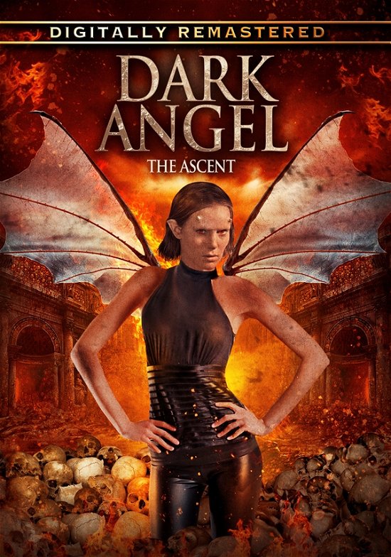 Cover for Feature Film · Dark Angel: the Ascent (DVD) [Remastered edition] (2020)