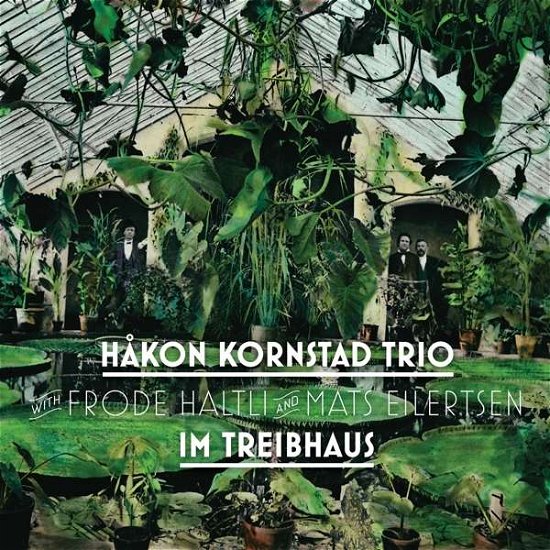 Cover for Hakon Kornstad Trio / Frode Haltll &amp; Mats Ellertsen · Im Treibhaus (CD) [Digipak] (2019)