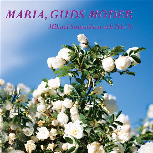 Cover for Samuelson Mikael and Trio X · Maria, Guds Moder (CD) (2011)