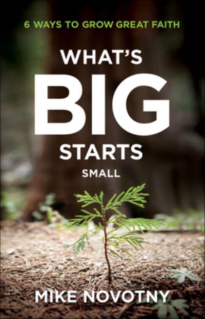 Cover for Mike Novotny · What's Big Starts Small – 6 Ways to Grow Great Faith (Paperback Book) (2022)