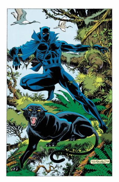 Black Panther: Panther's Quest - Don McGregor - Bøker - Marvel Comics - 9781302908034 - 26. desember 2017