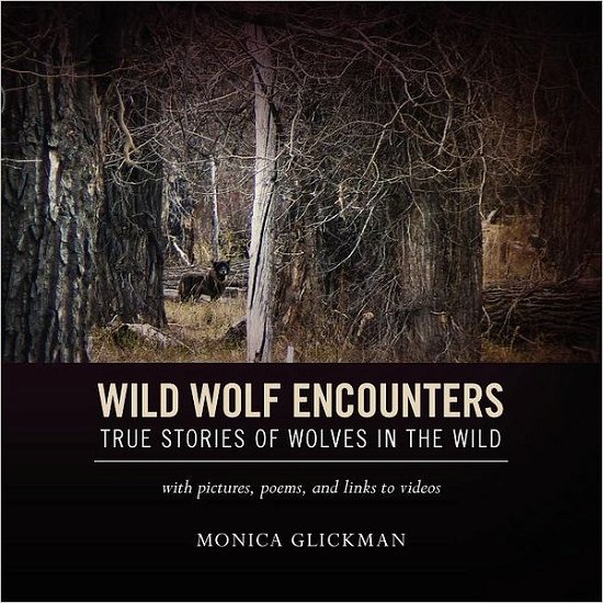 Wild Wolf Encounters: True Stories of Wolves in the Wild with Pictures, Poems, and Links to Videos - Monica Glickman - Książki - Createspace - 9781468198034 - 3 kwietnia 2012