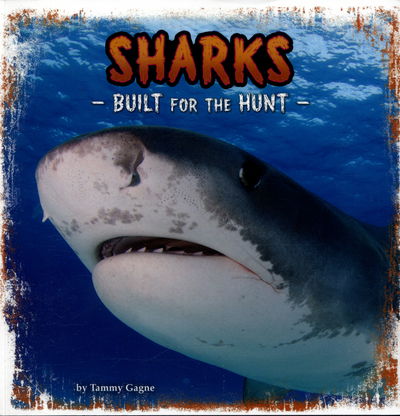 Cover for Tammy Gagne · Sharks: Built for the Hunt - Predator Profiles (Paperback Book) (2016)