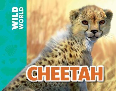 Cover for Meredith Costain · Cheetah (Paperback Book) (2016)