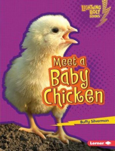 Cover for Buffy Silverman · Meet a baby chicken (Book) (2016)