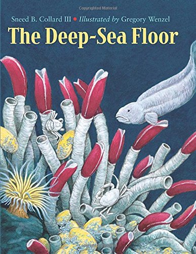 The Deep-Sea Floor - Collard, Sneed B., III - Książki - Charlesbridge Publishing,U.S. - 9781570914034 - 1 lutego 2003