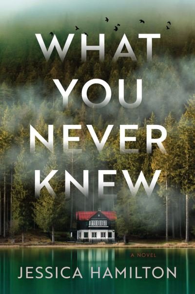 Cover for Jessica Hamilton · What You Never Knew: A Novel (Paperback Book) (2023)