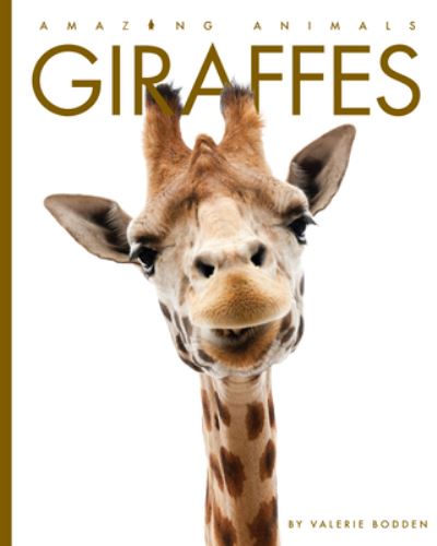 Cover for Valerie Bodden · Giraffes (Hardcover Book) (2020)