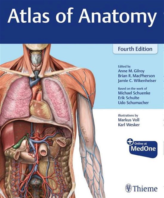 Cover for Anne M Gilroy · Atlas of Anatomy (Book) (2020)