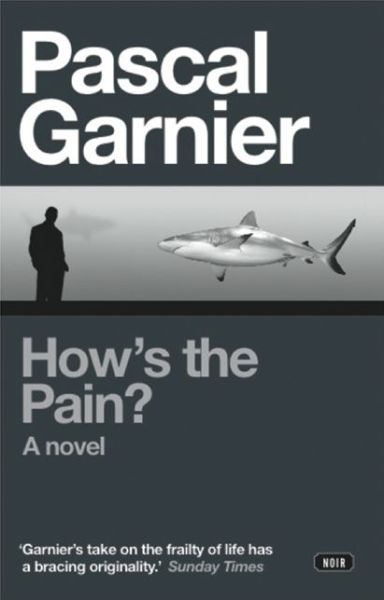 Cover for Pascal Garnier · How's the Pain? (Paperback Book) (2014)