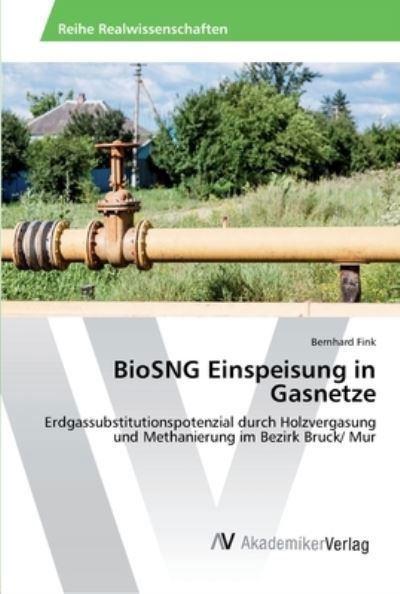 BioSNG Einspeisung in Gasnetze - Fink - Livres -  - 9783639888034 - 5 juillet 2016