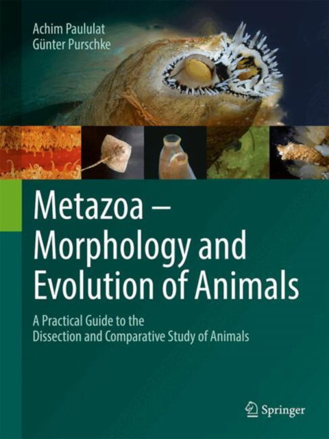 Cover for Achim Paululat · Metazoa – Morphology and Evolution of Animals: A Practical Guide to the Dissection and Comparative Study of Animals (Paperback Book) [Second Edition 2025 edition] (2025)