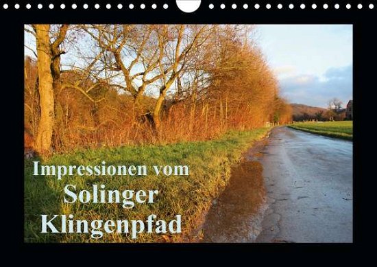 Impressionen vom Solinger Klingen - Bauch - Books -  - 9783670494034 - 