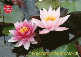 Cover for Rickert · Faszination Gartenteich (Wandka (Book)