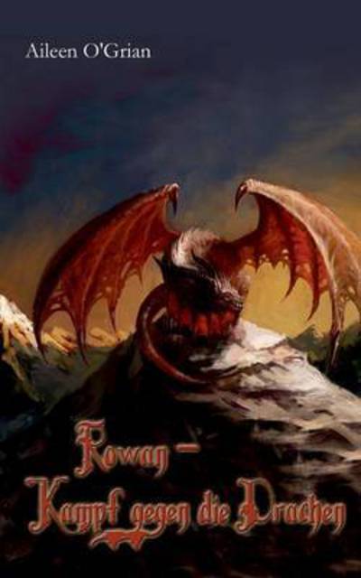 Cover for Aileen O'Grian · Rowan - Kampf gegen die Drachen (Paperback Book) (2016)