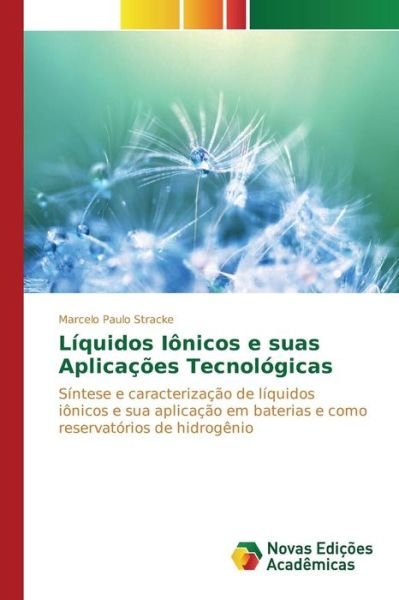 Liquidos Ionicos E Suas Aplicacoes Tecnologicas - Stracke Marcelo Paulo - Livres - Novas Edicoes Academicas - 9783841706034 - 8 octobre 2015