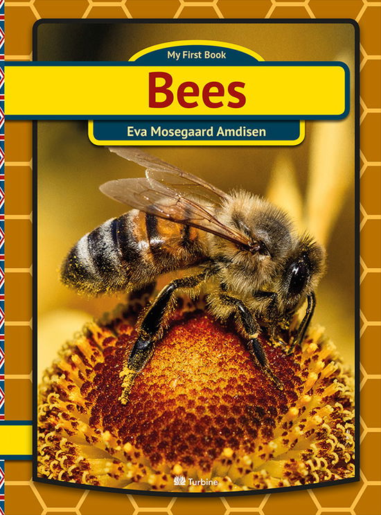 Cover for Eva Mosegaard Amdisen · My first book: Bees (Hardcover Book) [1st edition] (2017)