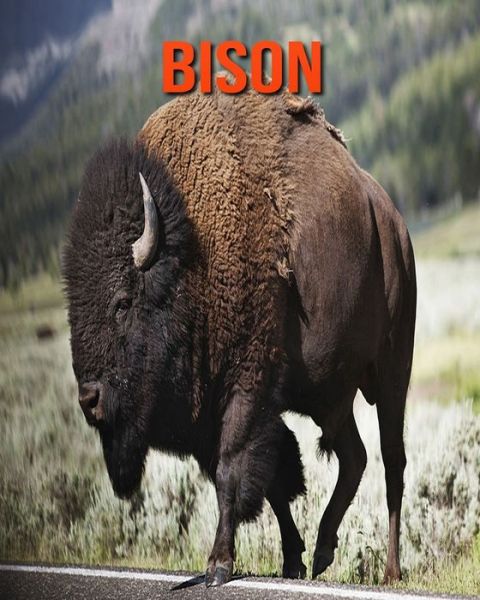 Bison - William Doyle - Books - Independently Published - 9798693978034 - October 5, 2020