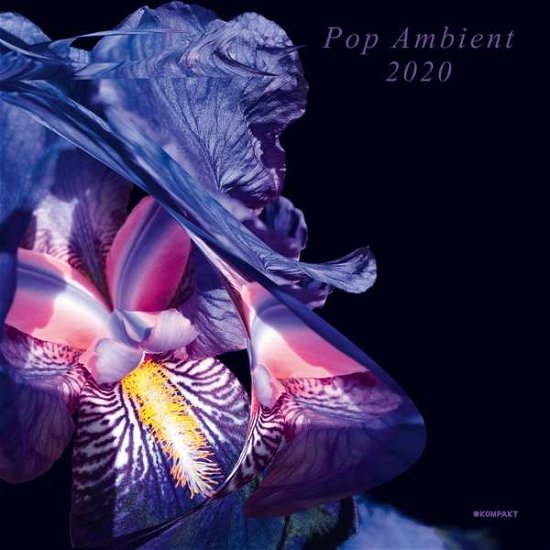 Cover for Pop Ambient 2020 / Various · Pop Ambient 2020 (CD) (2019)