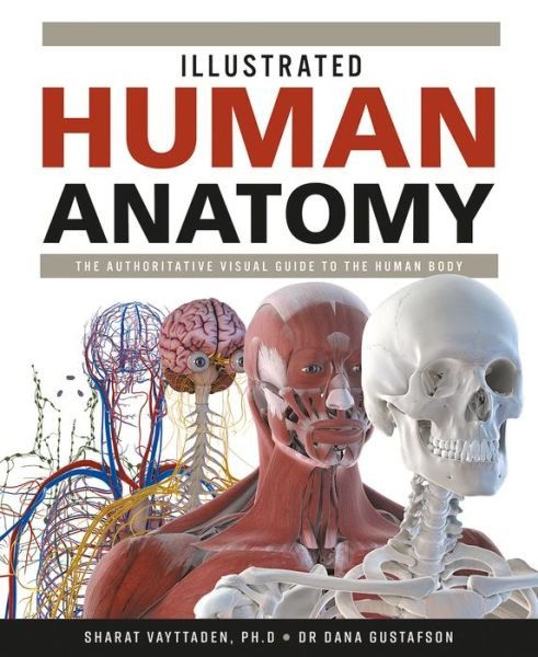 Cover for Dana Gustafson · Illustrated Human Anatomy (Innbunden bok) [Annotated edition] (2020)