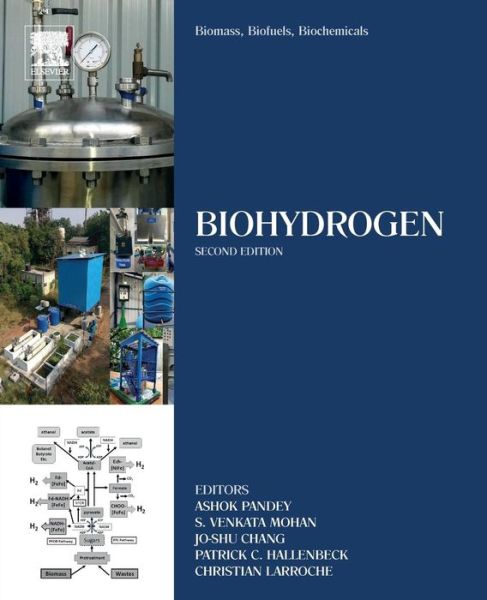 Biomass, Biofuels, Biochemicals: Biohydrogen - Biomass, Biofuels, Biochemicals - Ashok Pandey - Libros - Elsevier Science & Technology - 9780444642035 - 18 de enero de 2019