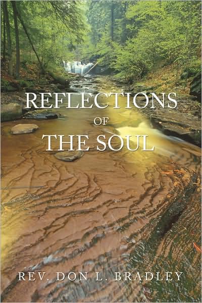 Cover for Don Bradley · Reflections of the Soul (Paperback Book) (2008)