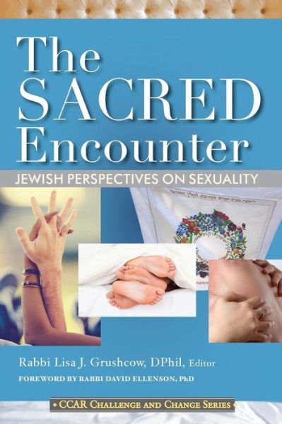 Cover for Lisa J Grushcow · The Sacred Encounter: Jewish Perspectives on Sexuality (Paperback Book) (2014)