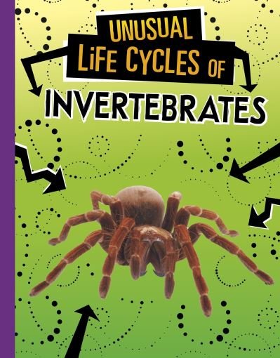 Cover for Jaclyn Jaycox · Unusual Life Cycles of Invertebrates - Unusual Life Cycles (Hardcover Book) (2022)