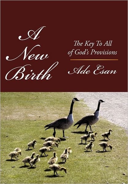 Cover for Ade Esan · A New Birth: the Key to All of God's Provisions (Innbunden bok) (2011)