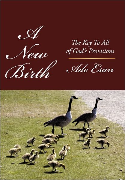 Cover for Ade Esan · A New Birth: the Key to All of God's Provisions (Hardcover Book) (2011)