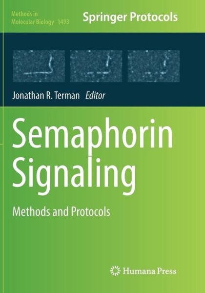 Cover for Semaphorin Signaling (Book) [Softcover reprint of the original 1st ed. 2017 edition] (2018)