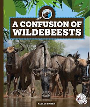 Cover for Kelley Barth · Confusion of Wildebeests (Book) (2024)