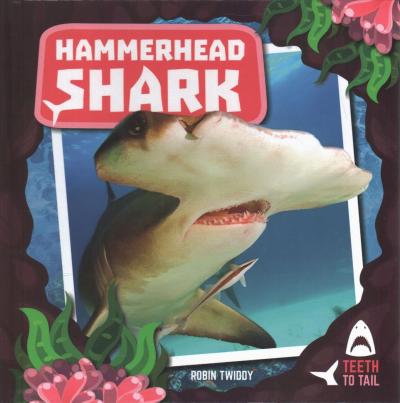 Cover for Robin Twiddy · Hammerhead Shark (Hardcover Book) (2019)