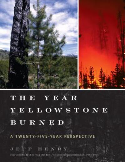 Cover for Jeff Henry · The Year Yellowstone Burned: A Twenty-Five-Year Perspective (Taschenbuch) (2015)