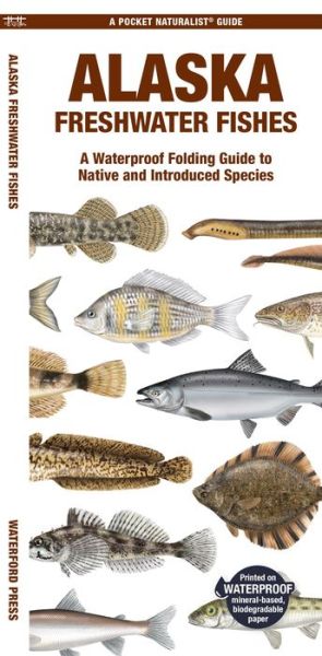 Cover for Matthew Morris · Alaska Freshwater Fishes: A Folding Guide to Native and Introduced Species - Pocket Naturalist Guide (Pamphlet) (2024)