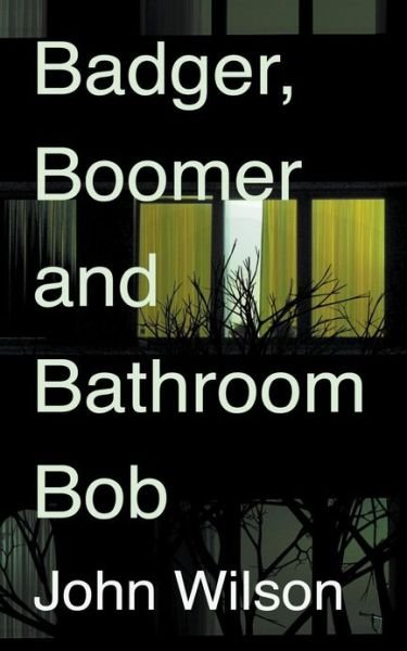 Badger, Boomer and Bathroom Bob - John Wilson - Kirjat - Troubador Publishing - 9781780884035 - maanantai 1. huhtikuuta 2013