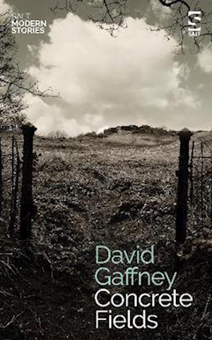 Cover for David Gaffney · Concrete Fields - Salt Modern Stories (Paperback Book) (2023)