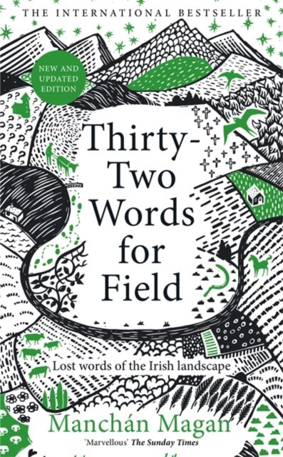 Cover for Manchan Magan · Thirty-Two Words for Field: Lost Words of the Irish Landscape (Hardcover bog) (2024)