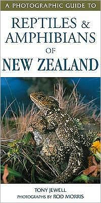 Cover for Morris, T Jewell &amp; R · Photographic Guide To Reptiles &amp; Amphibians Of New Zealand (Paperback Book) (2008)