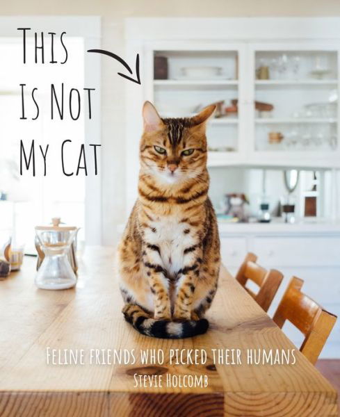 Cover for Stevie Holcomb · This is not my cat: Feline friends who picked their humans (Innbunden bok) (2022)