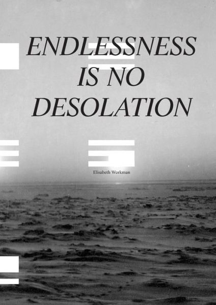 Cover for Elisabeth Workman · Endlessness is No Desolation (Paperback Book) (2016)