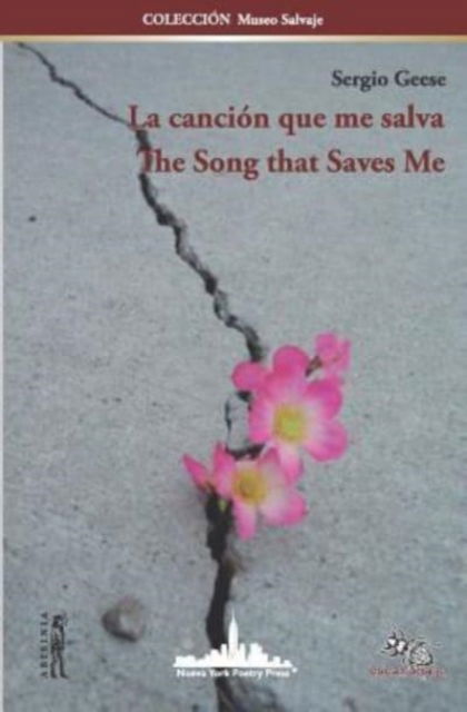 Cover for Miguel Falquez-Certain · La cancion que me salva / The Song that Saves Me (Paperback Book) (2019)