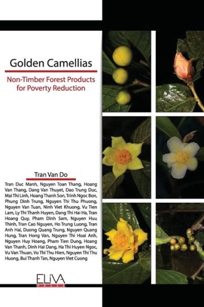 Cover for Tran Van Do · Golden Camellias (Paperback Book) (2020)
