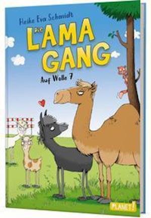Cover for Heike Eva Schmidt · Die Lama-Gang. Mit Herz &amp; Spucke 2: Auf Wolle 7 (Hardcover Book) (2022)
